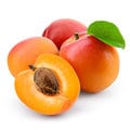 Notes of Apricot