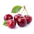 Notes of Cherry