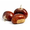 Chestnut