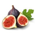 Notes of Fig