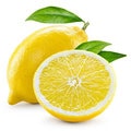 Notes of Lemon