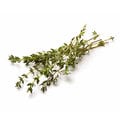 Notes of Thyme